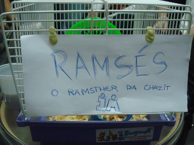 https://chazit.com/porto_alegre/../fotos/fotos_site/2010/Hamster/DSC00844.JPG